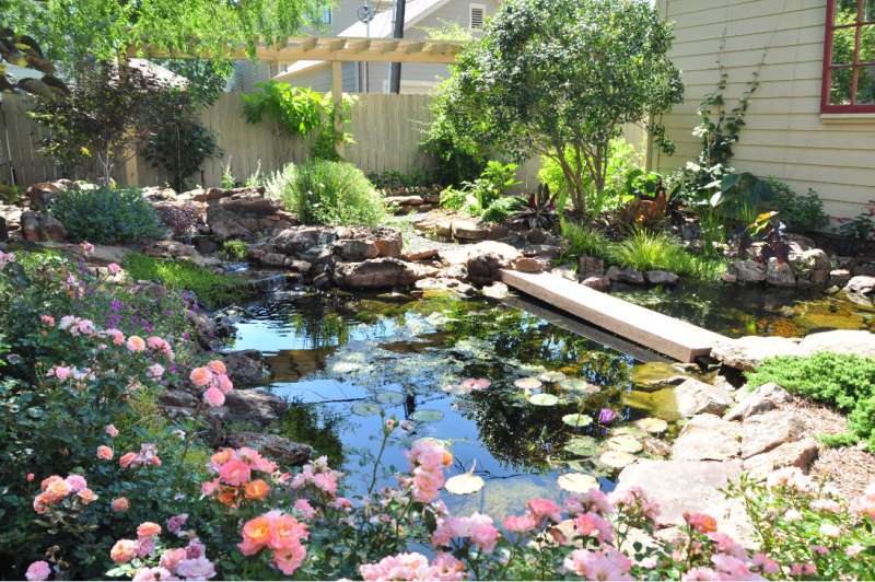 Lawn Fertilization